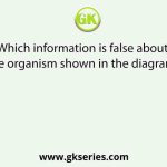 Which information is false about the organism shown in the diagram?
