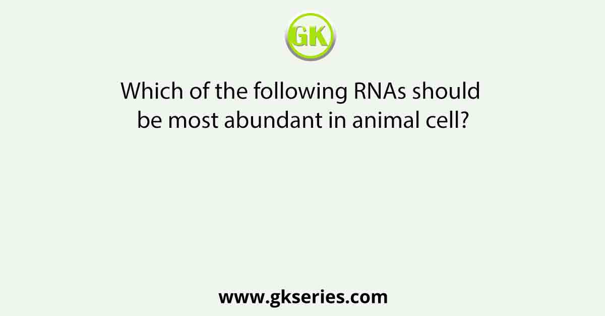 Which of the following RNAs should be most abundant in animal cell?