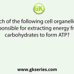 Which of the following cell organelles is responsible for extracting energy from carbohydrates to form ATP?