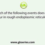 Which of the following events does not occur in rough endoplasmic reticulum?