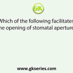 Which of the following facilitates the opening of stomatal aperture?