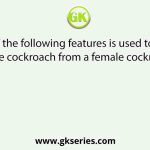 Which of the following features is used to identify a male cockroach from a female cockroach?