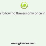 Which of the following flowers only once in its life-time?