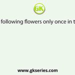 Which of the following flowers only once in their lifetime?