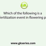 Which of the following is a post-fertilization event in flowering plants?