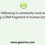 Which of the following is commonly used as a vector for introducing a DNA fragment in human lymphocytes?