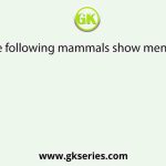 Which of the following mammals show menstrual cycle?