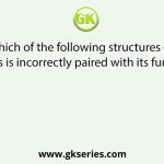 Which of the following structures or regions is incorrectly paired with its function?