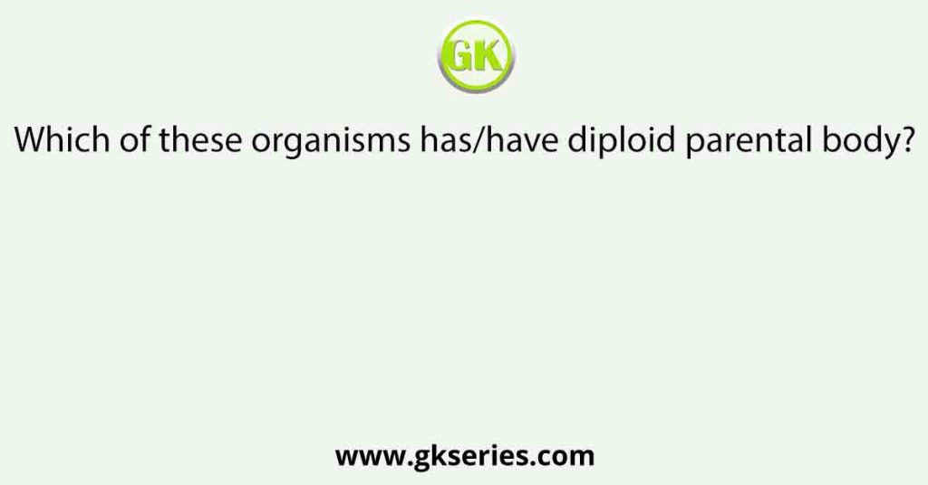 Which of these organisms has/have diploid parental body?