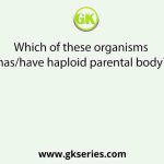 Which of these organisms has/have haploid parental body?