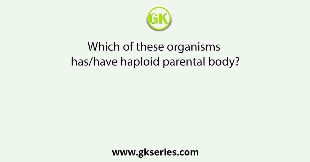 Which of these organisms has/have haploid parental body?