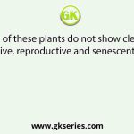 Which of these plants do not show clear cut vegetative, reproductive and senescent phase?