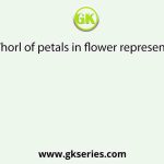Whorl of petals in flower represents