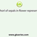 Whorl of sepals in flower represents