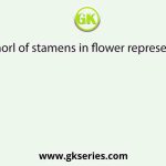 Whorl of stamens in flower represents