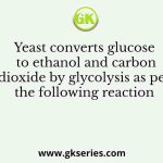 Yeast converts glucose to ethanol and carbon dioxide by glycolysis as per the following reaction