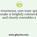 A non-venomous, non-toxic species of snake is brightly coloured and closely resembles a