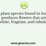 A plant species found in India produces flowers that are white, fragrant, and tubular