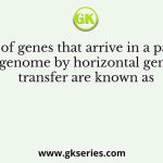 Copies of genes that arrive in a particular genome by horizontal gene transfer are known as