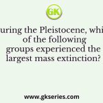 During the Pleistocene, which of the following groups experienced the largest mass extinction?