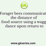 Forager bees communicate the distance of a food source using a waggle dance upon return to