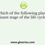 In which of the following plants is the dominant stage of the life cycle haploid?