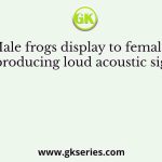 Male frogs display to females by producing loud acoustic signals