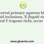 Two coeval primary aqueous biphase fluid inclusions, X (liquid-rich) and Y (vapour-rich), occur in