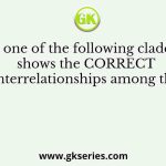 Which one of the following cladograms shows the CORRECT interrelationships among the
