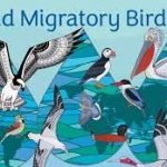 World Migratory Bird Day (WMBD) 2023: Date, Theme, Origin and Interesting Facts
