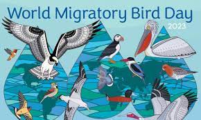 World Migratory Bird Day (WMBD) 2023: Date, Theme, Origin and Interesting Facts