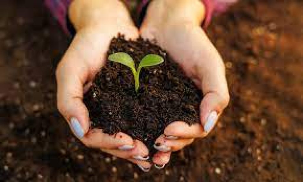 World Soil Day 2023 Observed on 5 December