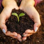 World Soil Day 2023 Observed on 5 December