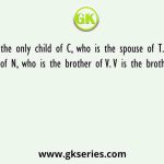 J is the only child of C, who is the spouse of T. P is the mother of N, who is the brother of V. V is the brother-in-law of J