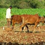 Maharashtra Wins Best Agriculture State Award for 2024