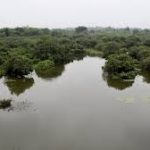 Tamil Nadu has set a new benchmark in environmental conservation and biodiversity protection by securing two more Ramsar sites