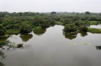 Tamil Nadu has set a new benchmark in environmental conservation and biodiversity protection by securing two more Ramsar sites