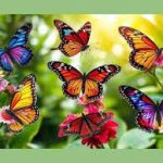 Kaziranga Named India’s Second Largest Butterfly Diversity Hub