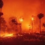 Wildfires Ravage Los Angeles A State in Crisis