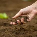 Haryana Launches ‘Har Khet-Swasth Khet’ to Boost Soil Health