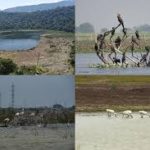 India Adds 4 New Ramsar Wetlands, First for Jharkhand & Sikkim