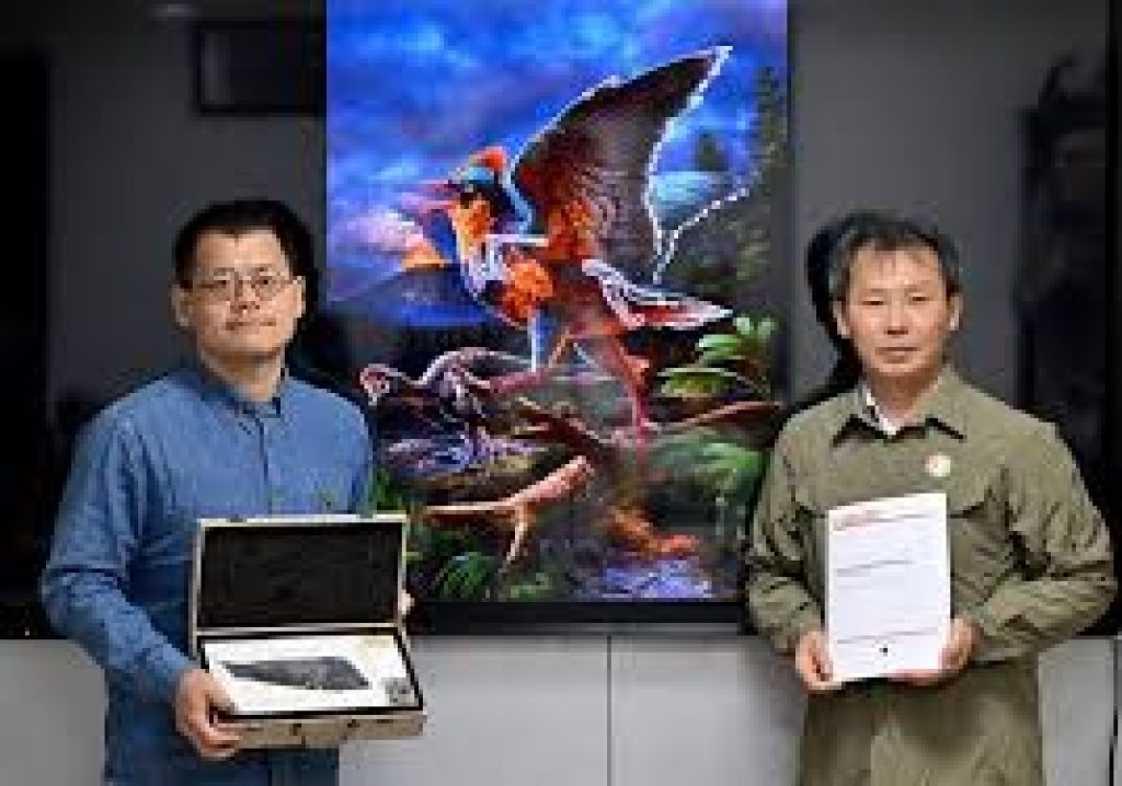 Jurassic Fossil Discovery in China Reveals Clues to Bird Evolution