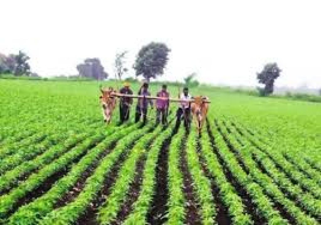 PM-AASHA Scheme Extended to Support Farmers Until 2025-26