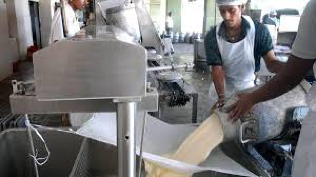 India Becomes the World’s Top Milk Producer