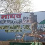Madhav National Park Declared as India’s 58th Tiger Reserve