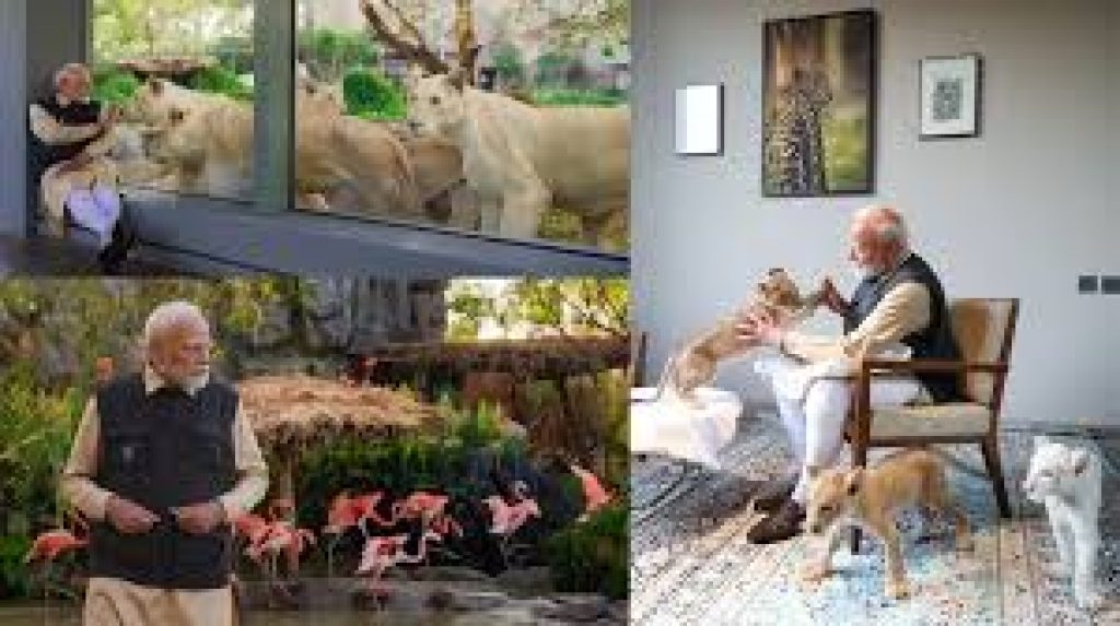 PM Modi Inaugurates Vantara, an Animal Rescue and Conservation Centre in Gujarat