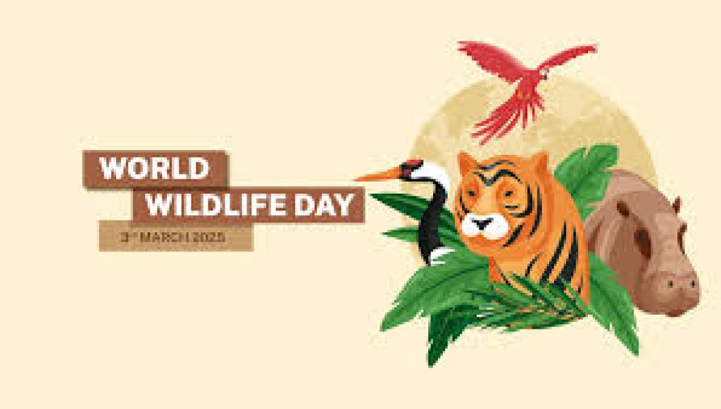World Wildlife Day 2025