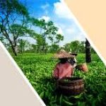 Aspirational Districts Programme