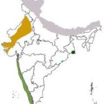 Biodiversity Hotspots in India