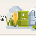 India's National Policy on Biofuels